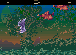 Capture d'écran de jeu