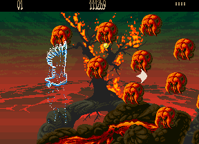 Capture d'écran de jeu