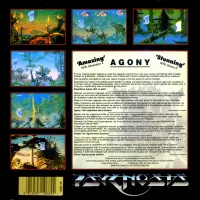 Boîte arrière du jeu Agony