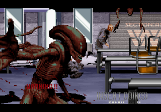 Capture d'écran de jeu