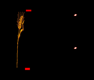 Capture d'écran de Apidya