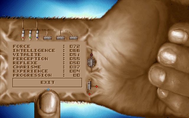 Capture d'écran de jeu