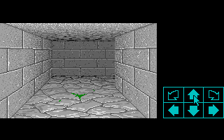 Capture d'écran de jeu