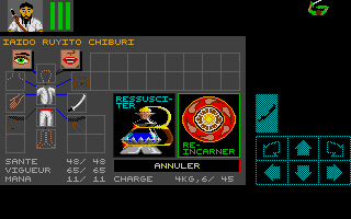 Capture d'écran de jeu