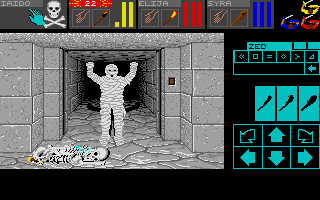 Capture d'écran de jeu
