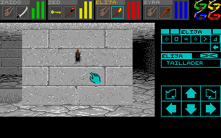 Capture d'écran de jeu