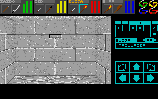 Capture d'écran de jeu