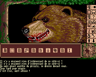 Capture d'écran de jeu
