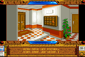 Capture d'écran de jeu