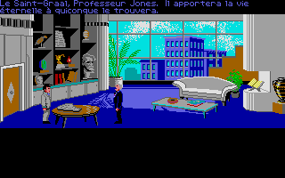 Capture d'écran de jeu