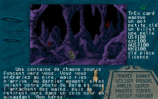 Capture d'écran de jeu