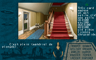 Capture d'écran de jeu