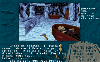 Capture d'écran de jeu