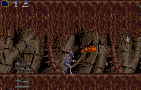 Capture d'écran de jeu