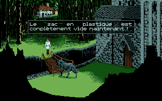 Capture d'écran de jeu