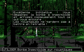 Capture d'écran de jeu