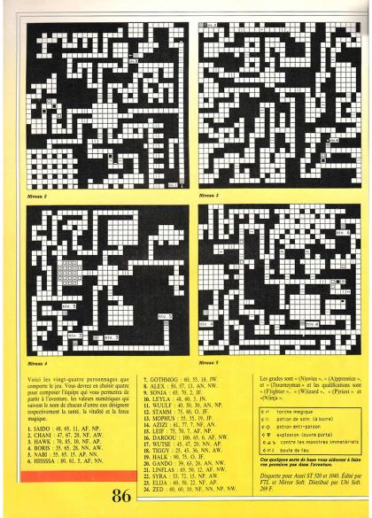 Dungeon Master Solution Atari ST