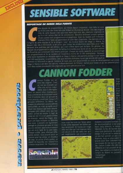 Cannon Fodder Reportage