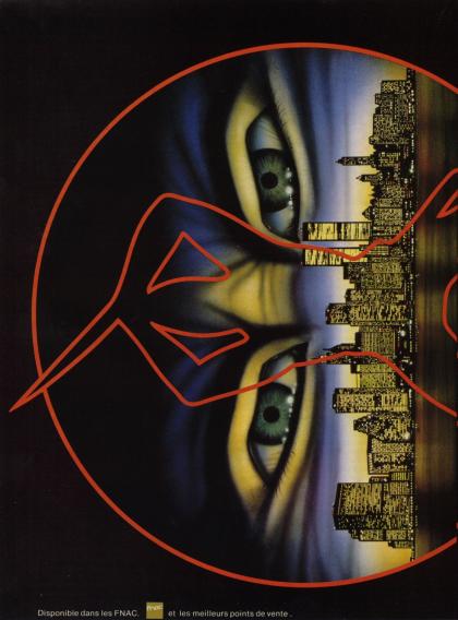 Last Ninja 2, The Publicité x2